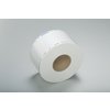TYVEK plochá role s indikátorem plazmové sterilizace, 100 mm x 100 m