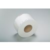 TYVEK plochá role s indikátorem plazmové sterilizace, 100 mm x 100 m